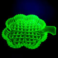 Collectible Uranium Glass Plate Clover Vaseline Yellow Glass Dish Art Deco